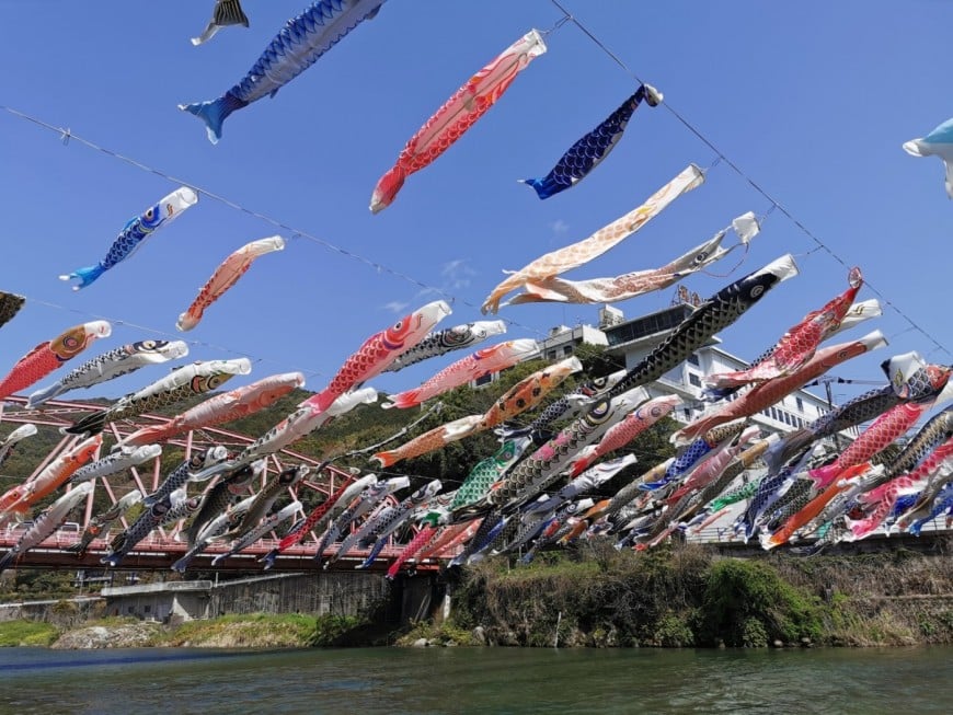 空を泳ぐこいのぼりの画像